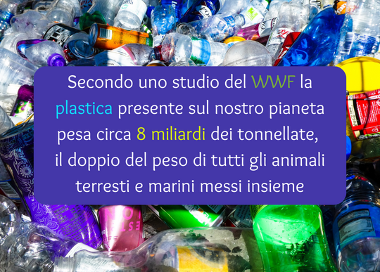 peso plastica wwf.png
